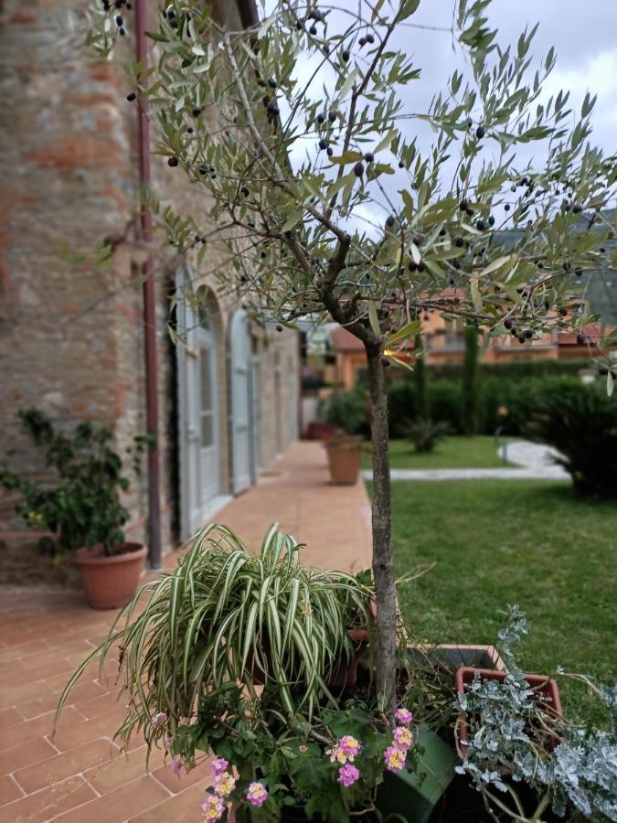 Casale1918 Pietrasanta Exterior foto